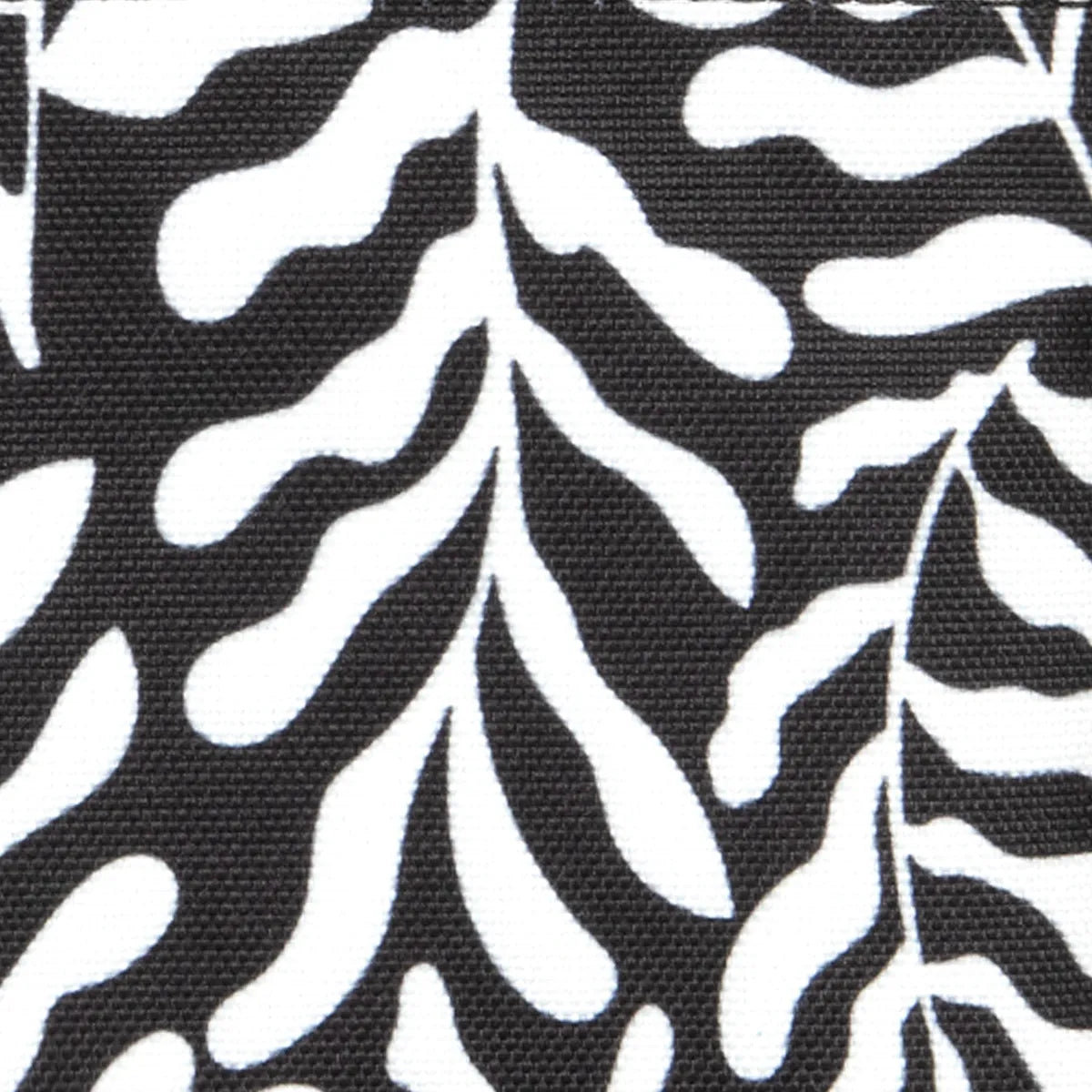 Poche avant Luanda moyenne
